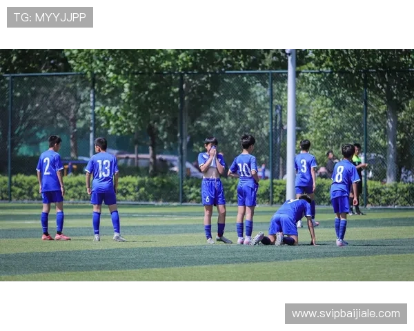 欧博真人足球电脑版最新版本全面解析,带你体验真实足球比赛的极致乐趣