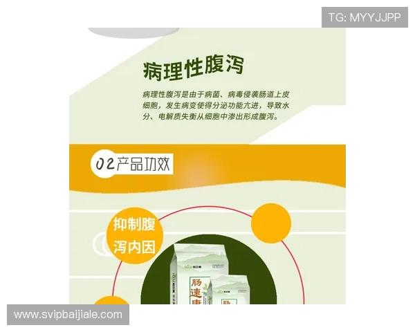喜力欧博真人平台客户服务与技术支持全方位保障玩家权益