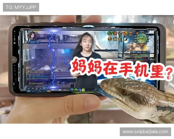 电子真人网站游戏大全解析真人娱乐游戏的安全性与公平性保障措施与用户体验
