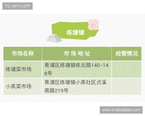 掌握澳门百家乐的基本规则与实用技巧实现稳健盈利的详细指南